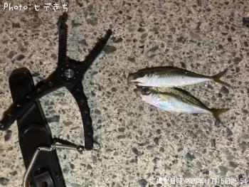 アジ