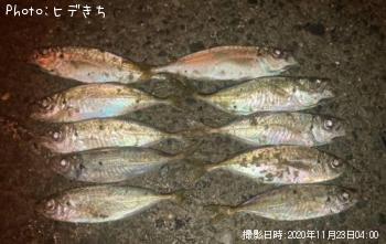 アジ