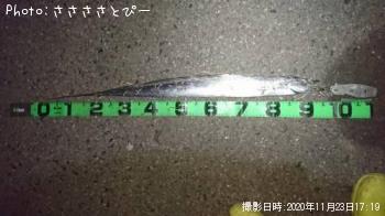 太刀魚＆アジ