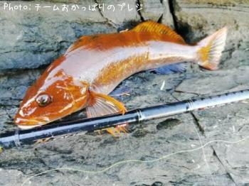 ʥ