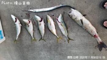 ʥ