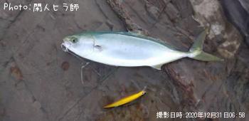 ʥ