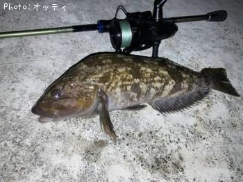 ʥ