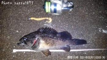 クロソイ