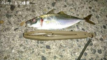 アジ
