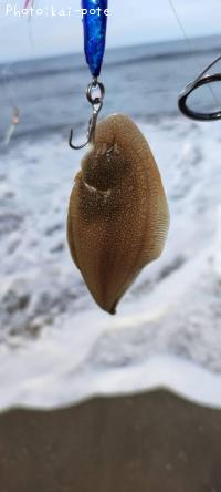ӥ