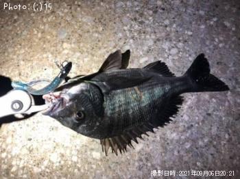 ޥХӥ죱