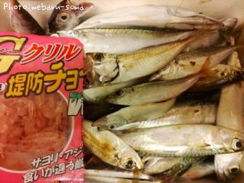 アジ