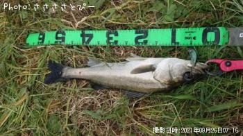 �����Х�