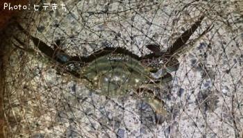勵ꥬ