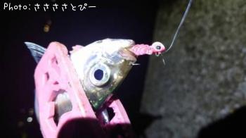 アジ