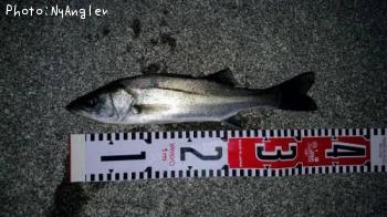 �����Х�