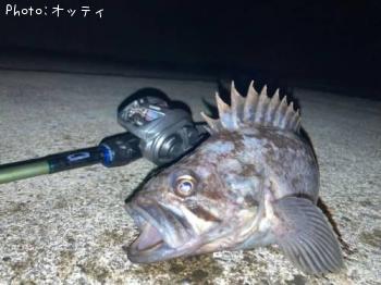 クロソイ
