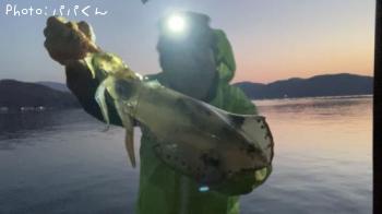 �����ꥤ��