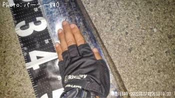 太刀魚