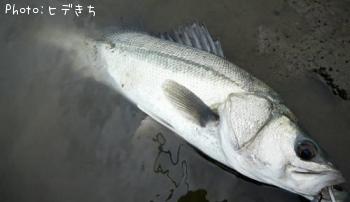 Х