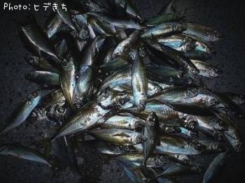 アジ