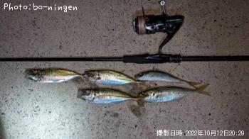 アジ