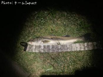 Х