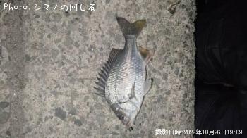 ӥ