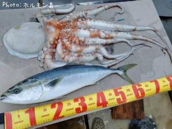 タコ・イナダ