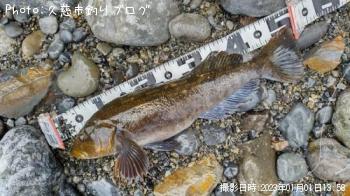 ʥ