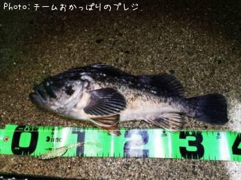 クロソイ