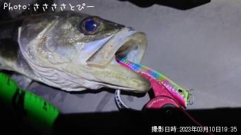Х