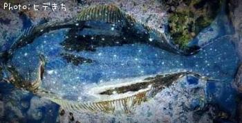 ҥ