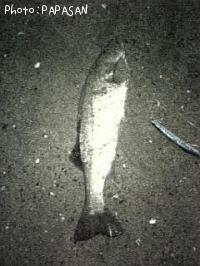 Х