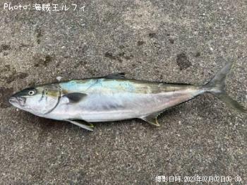船マサ