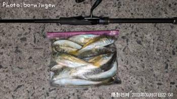 アジ