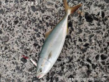 䥺