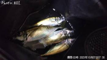 アジ