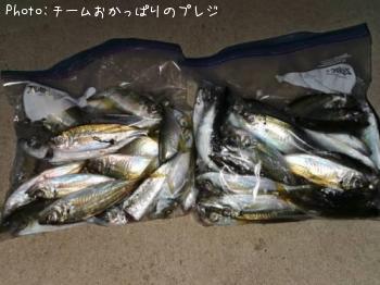アジ