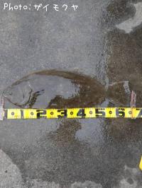ҥ