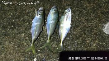 アジ