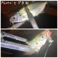アジ