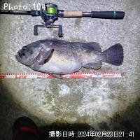 クロソイ