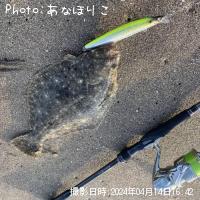 ヒラメ