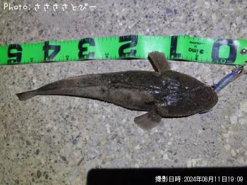 ޥ勵ꥬ