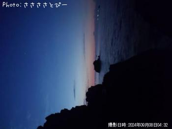 祴