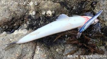 エソ