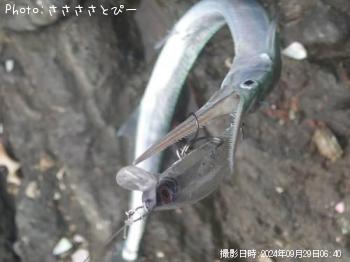 ʥ