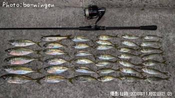 アジ