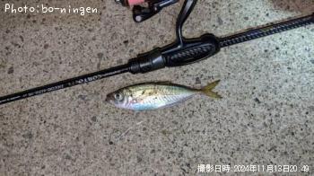 アジ