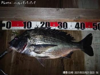 饤亮