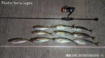 アジ