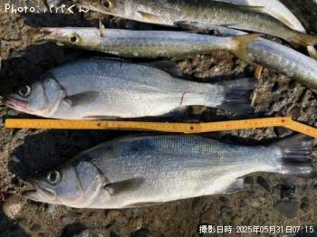 ҥ饹