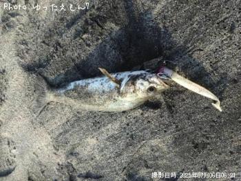Хʥ